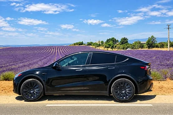 Tesla noire stationnée au bord d’un champ de lavande.